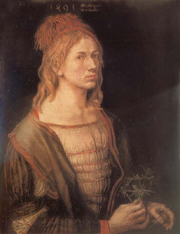 Albrecht Durer Self-Portrait with sea holly Germany oil painting art
